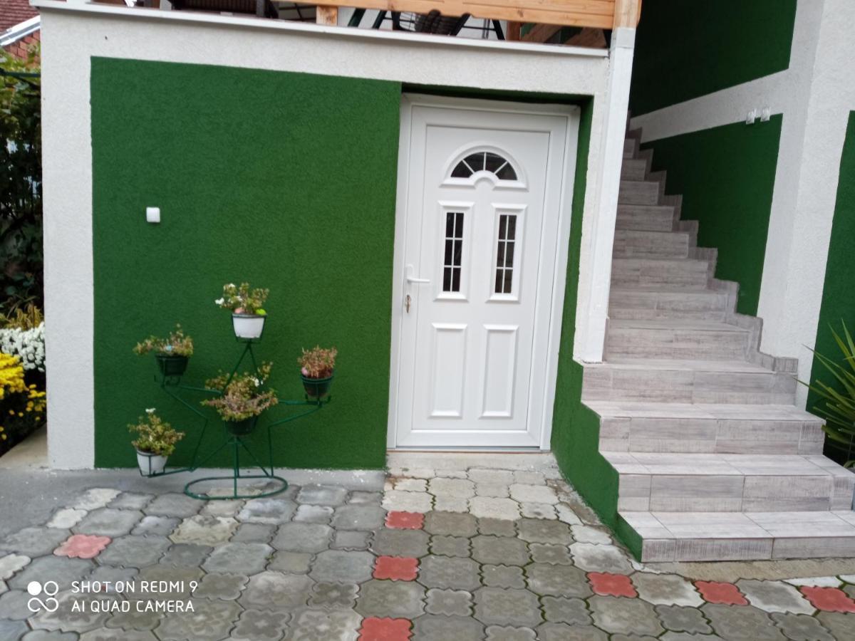 Guest House Vila Banjica Pirot Exterior photo