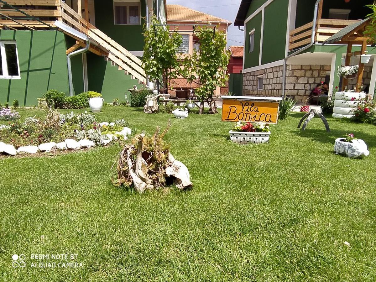 Guest House Vila Banjica Pirot Exterior photo